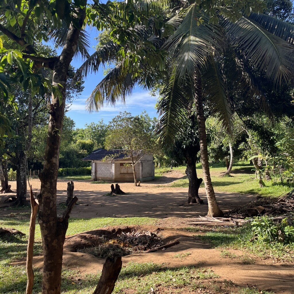 School grounds in nature Ile Sainte Marie, Madagascar