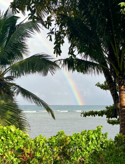 Rainbow over the sea with tree and palms in the front Madagascar Ile Sainte Marie