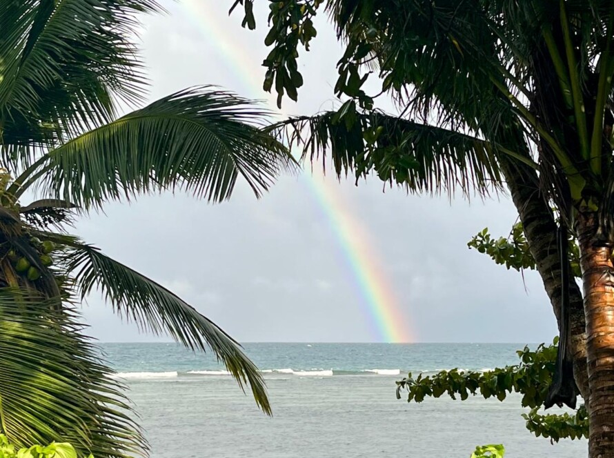Rainbow over the sea with tree and palms in the front Madagascar Ile Sainte Marie