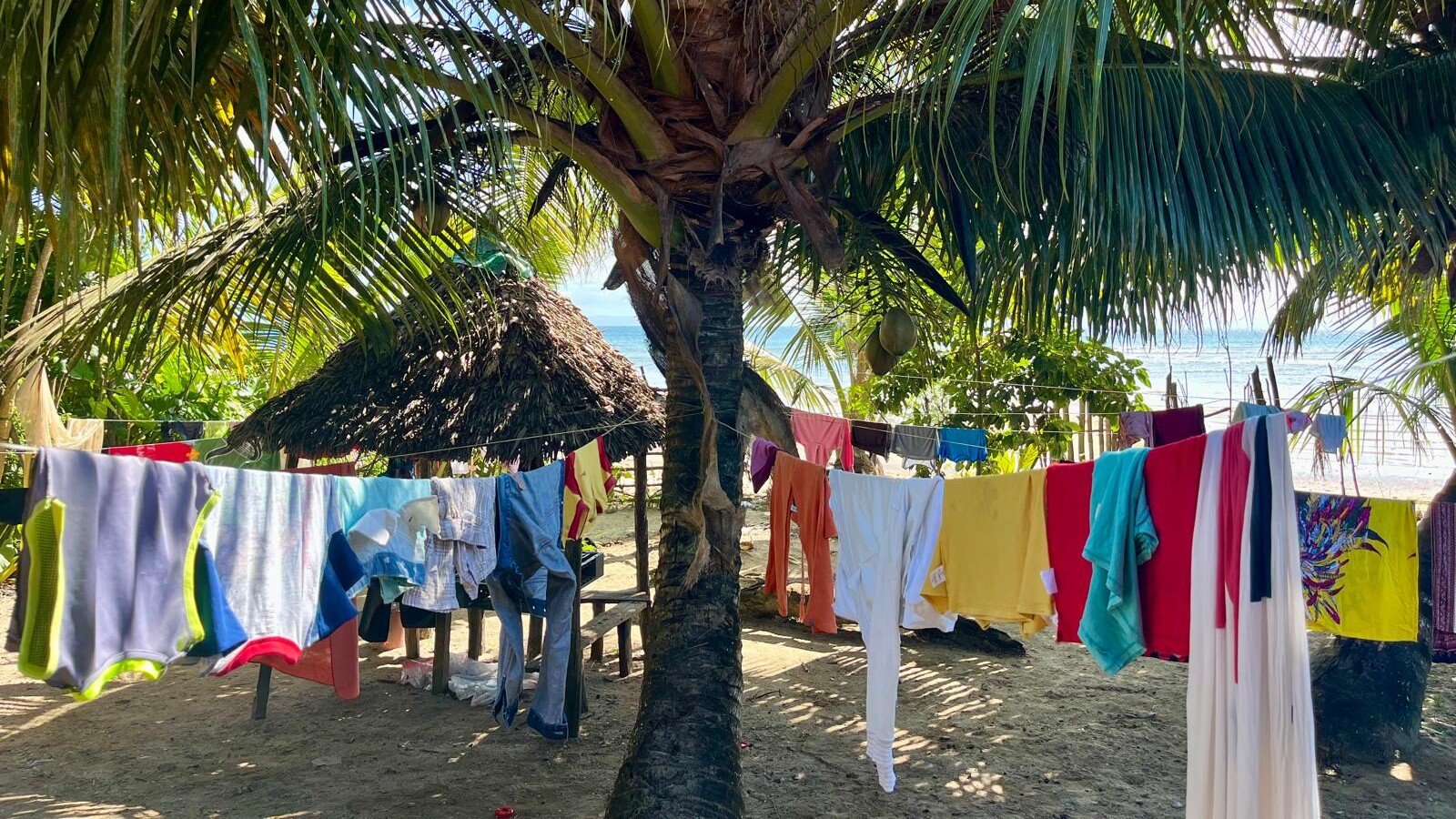 Wet clothes drying on clotheslines on a palmtree Madagascar