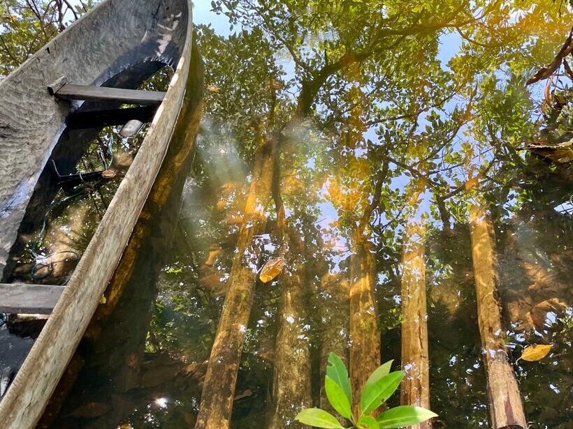 Wood being prepared in water - tradition in construction in Madagascar East Coast